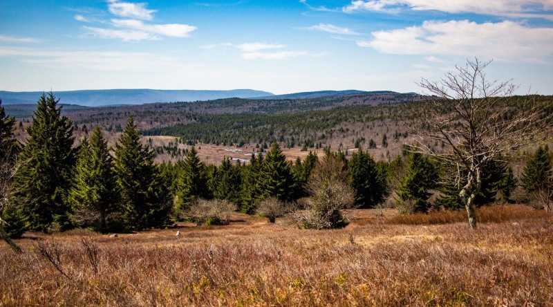 Ravens Ridge, Dolly Sods Wilderness, West Virginia