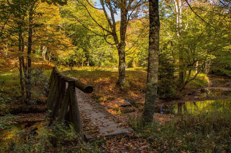 Seneca Creek, West Virginia